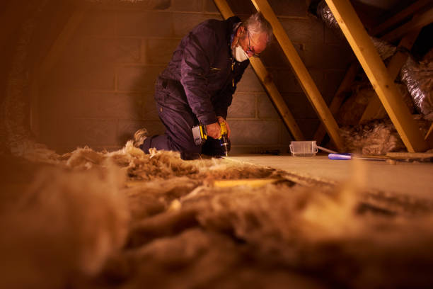Best Insulation Removal  in Red Oak, TX